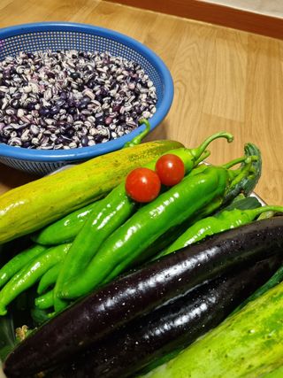 김 기 동님의 벼 · 영농일지 작성글 사진