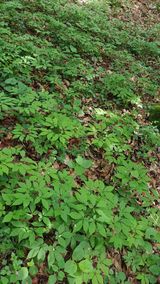 팜모닝 기타작물·자유게시판 게시글 이미지