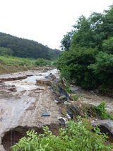 팜모닝 콩·자유게시판 게시글 이미지