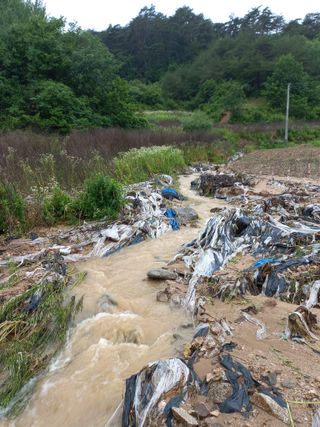 이성수님의 콩 · 자유게시판 작성글 사진
