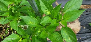 이준협님의 장마 대비 어떻게 하셨나요? · 참여 작성글 사진