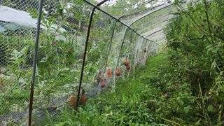 도시농부님의 기타작물 · 영농일지 작성글 사진