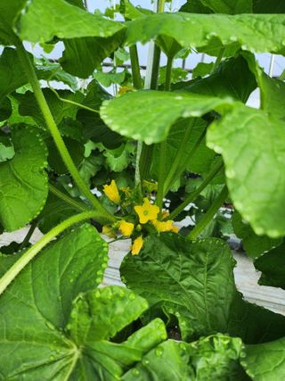 파이프님의 자유주제 · 자유게시판 작성글 사진