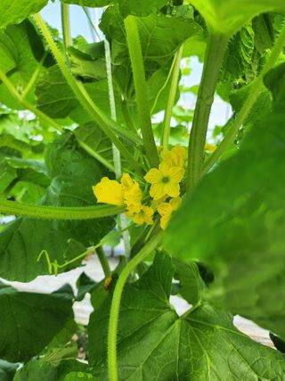 파이프님의 자유주제 · 자유게시판 작성글 사진