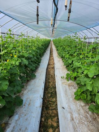 파이프님의 자유주제 · 자유게시판 작성글 사진