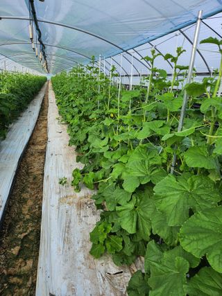 파이프님의 자유주제 · 자유게시판 작성글 사진