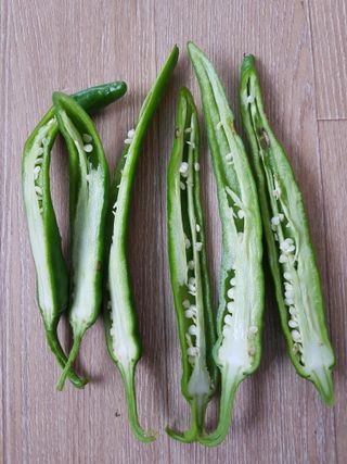 보람농장님의 고추 · 병해충상담 작성글 사진