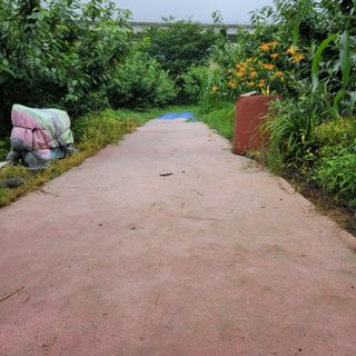 마산쌀재골체리님의 장마 대비 어떻게 하셨나요? · 참여 작성글 사진