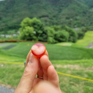 김지연님의 우리동네 · 동네수다 작성글 사진