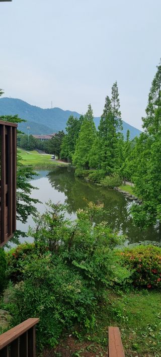 김지연님의 우리동네 · 동네수다 작성글 사진