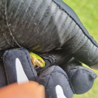 김지연님의 우리동네 · 동네수다 작성글 사진