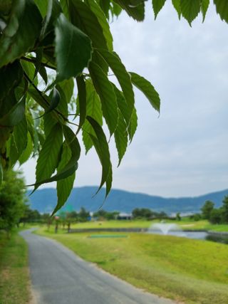 김지연님의 우리동네 · 동네수다 작성글 사진