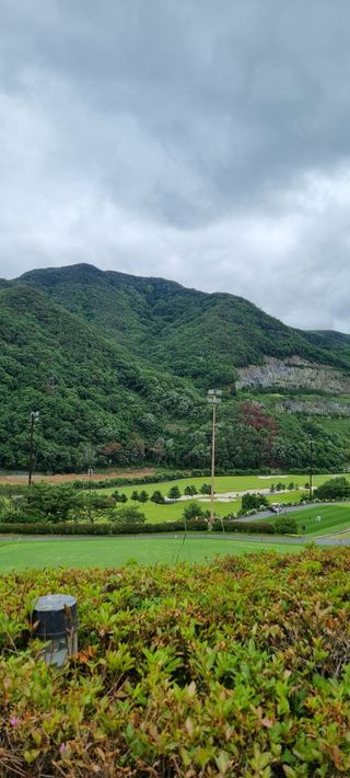 김지연님의 우리동네 · 동네수다 작성글 사진