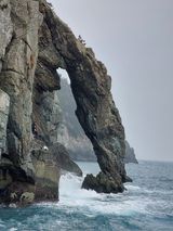 팜모닝 자유주제·자유게시판 게시글 이미지