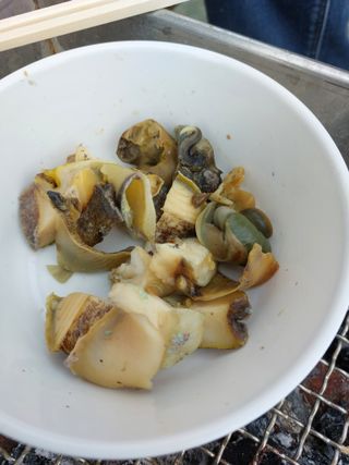 농촌의지킴님의 자유주제 · 자유게시판 작성글 사진