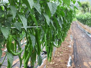 알 수 없음님의 장마 대비 어떻게 하셨나요? · 참여 작성글 사진