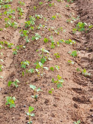 묽맑은 길 이영행님의 자유주제 · 자유게시판 작성글 사진