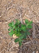 팜모닝 콩·자유게시판 게시글 이미지