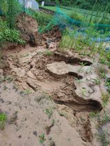 팜모닝 감자·자유게시판 게시글 이미지