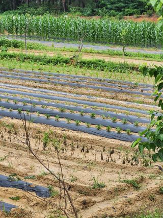 장지영님의 작성글 사진