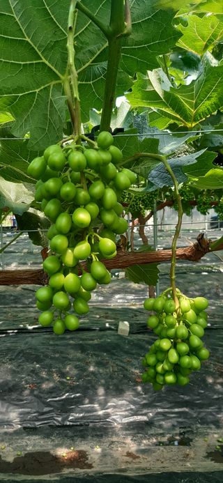 윤세열님의 장마 대비 어떻게 하셨나요? · 참여 작성글 사진