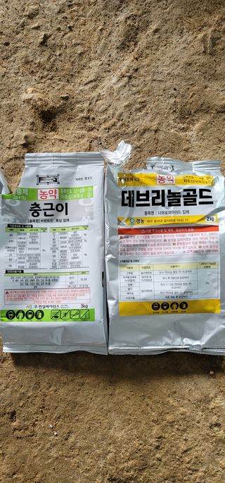 어동골님의 들깨 · 영농일지 작성글 사진