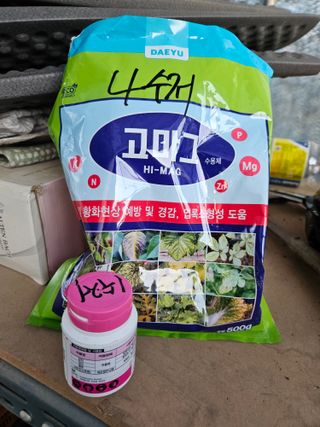 노을빛사랑님의 고추 · 병해충상담 작성글 사진