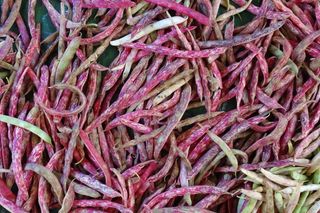 정진해님의 기타작물 · 자유게시판 작성글 사진