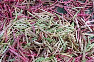 정진해님의 기타작물 · 자유게시판 작성글 사진