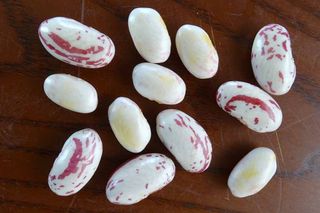 정진해님의 기타작물 · 자유게시판 작성글 사진