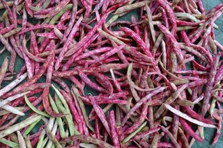 정진해님의 기타작물 · 자유게시판 작성글 사진