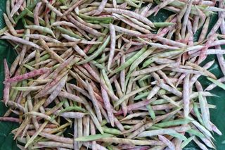 정진해님의 기타작물 · 자유게시판 작성글 사진