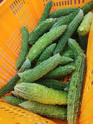 김용무님의 자유주제 · 자유게시판 작성글 사진