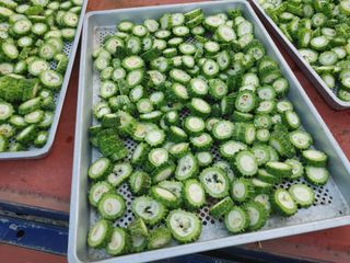 김용무님의 자유주제 · 자유게시판 작성글 사진