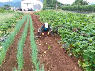 김기한님의 파 · 자유게시판 작성글 사진