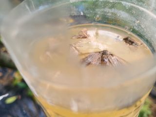 고갑윤님의 자유주제 · 자유게시판 작성글 사진