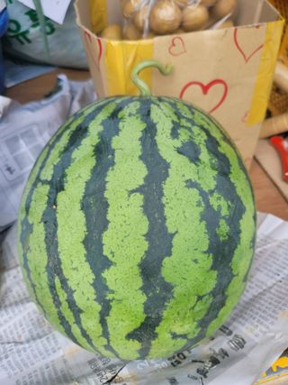 김태영님의 기타작물 · 자유게시판 작성글 사진