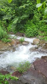 팜모닝 자유주제·사진전 게시글 이미지