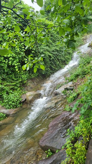 ♡5도2촌pys♡님의 자유주제 · 사진전 작성글 사진