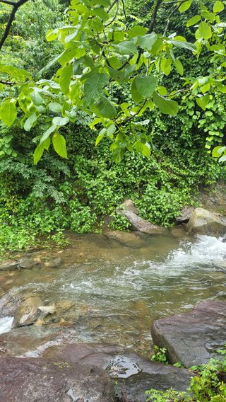 ♡5도2촌pys♡님의 자유주제 · 사진전 작성글 사진