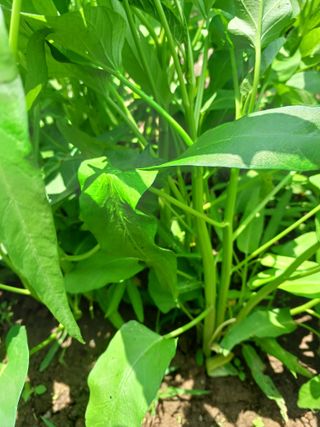 김명중님의 장마 대비 어떻게 하셨나요? · 참여 작성글 사진