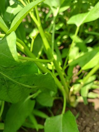 김명중님의 장마 대비 어떻게 하셨나요? · 참여 작성글 사진