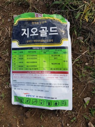 마늘 복숭아윤금자님의 참깨 · 자유게시판 작성글 사진