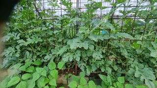 김민철 님의 자유주제 · 자유게시판 작성글 사진