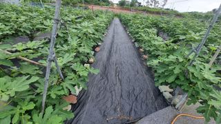 김민철 님의 자유주제 · 자유게시판 작성글 사진