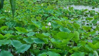 김민철 님의 자유주제 · 자유게시판 작성글 사진