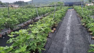 김민철 님의 자유주제 · 자유게시판 작성글 사진