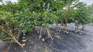 김민철 님의 자유주제 · 자유게시판 작성글 사진