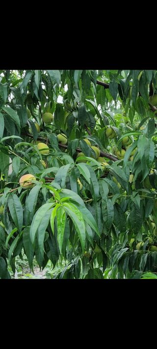 김민철 님의 자유주제 · 자유게시판 작성글 사진