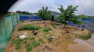 김민철 님의 자유주제 · 자유게시판 작성글 사진